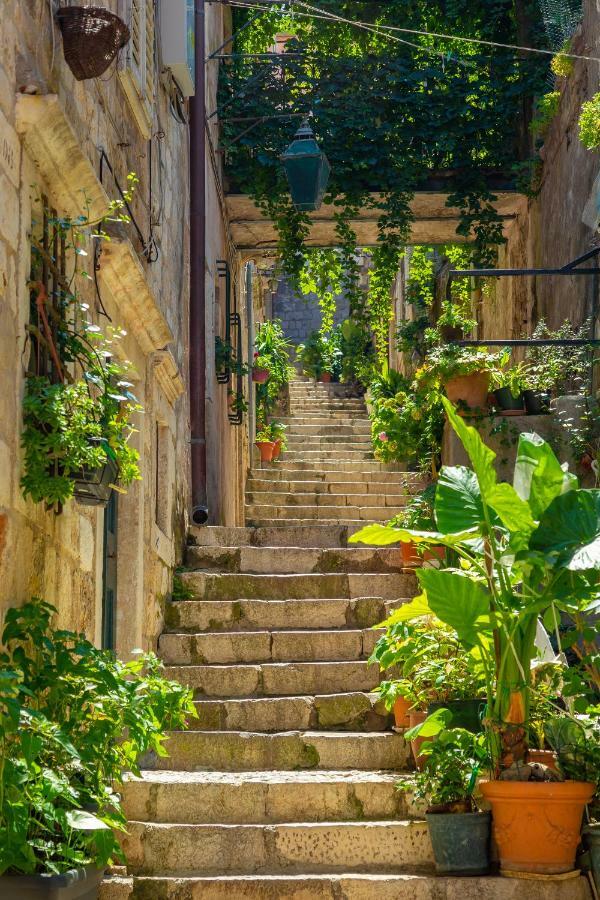 Old Town House With Floor Heating & Lush Private Garden Villa Dubrovnik Bagian luar foto